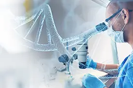 Chemzin Biotox - Development