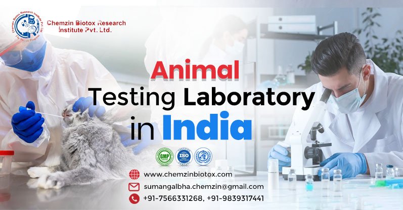 Best Animal Testing Laboratory in India | Chemzin Biotox Research Institute Pvt. Ltd.