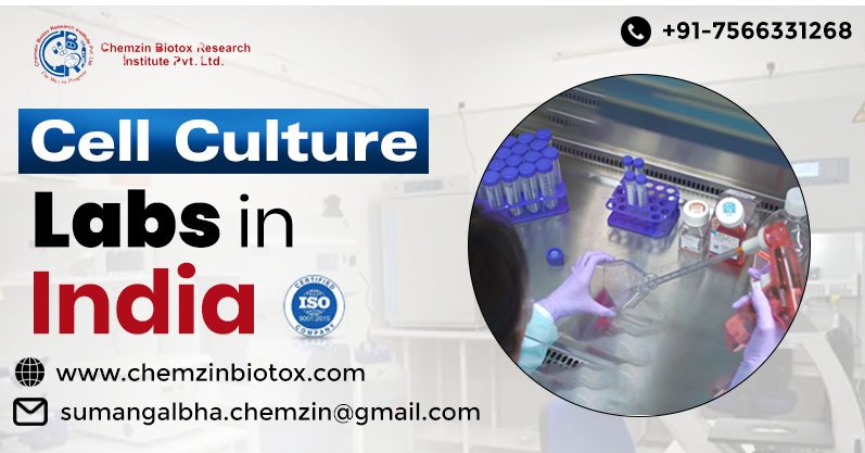 One of the Best Cell Culture Labs in India | Chemzin Biotox Research Institute Pvt. Ltd.